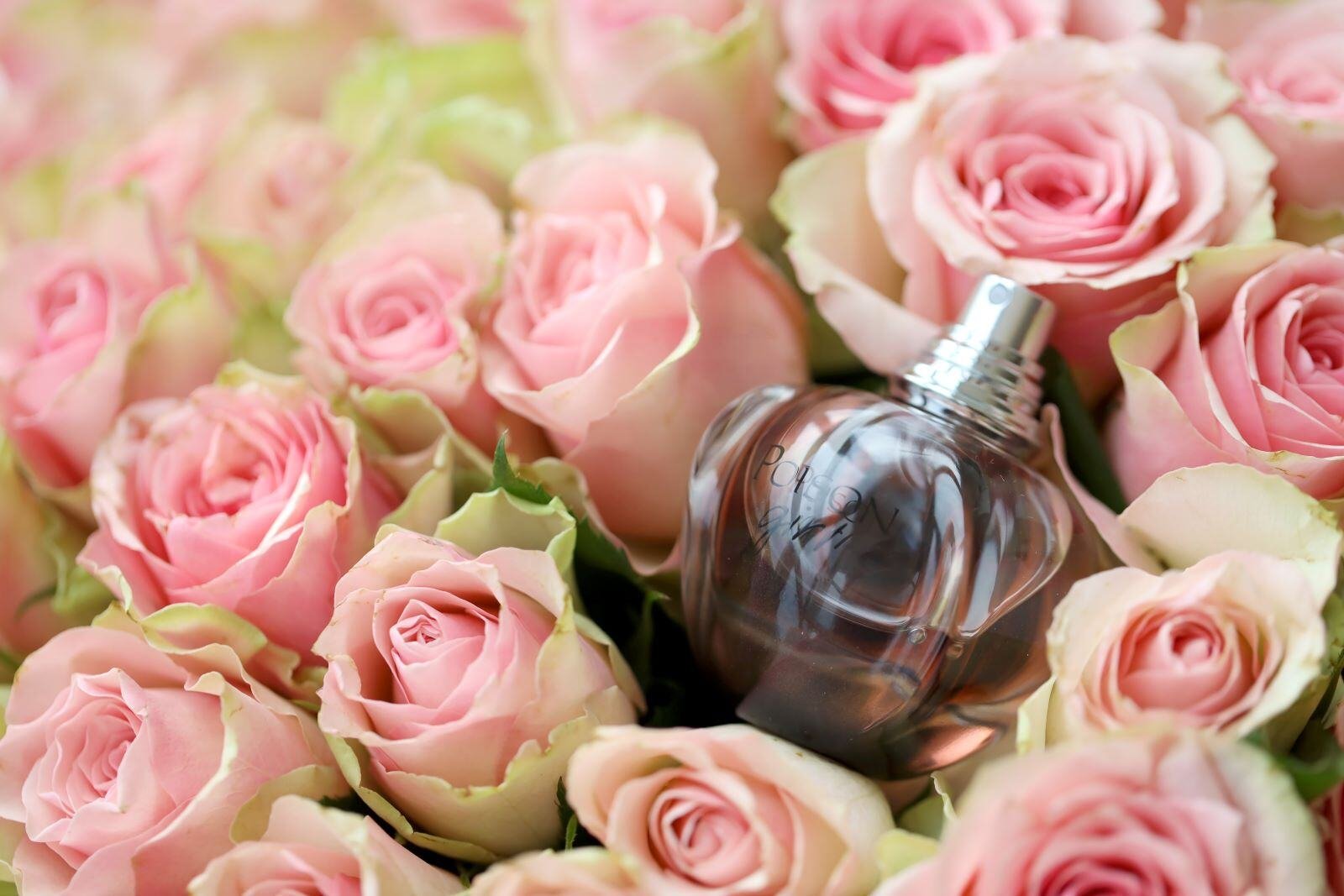 Most expensive perfume brands for ladies online